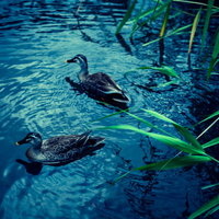 屋外で笑顔を見せる若い女性のポートレートの写真