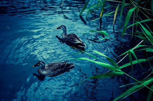 屋外で笑顔を見せる若い女性のポートレートの写真