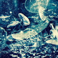 クラゲと小魚が群れる水族館のフォトモンタージュの写真