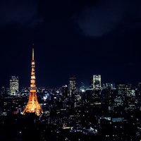 夜の東京タワーと高層ビル群の夜景 都心の光景の写真