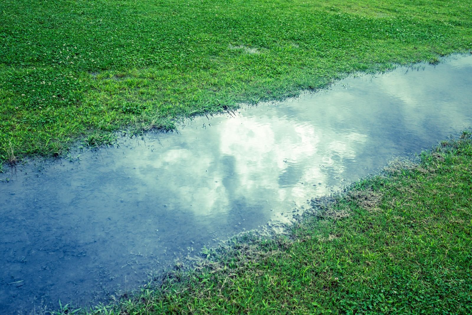 晴れた日の芝生にできた水たまりに空と雲が映り込む雨上がりの写真