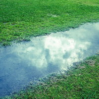 晴れた日の芝生にできた水たまりに空と雲が映り込む雨上がりの写真
