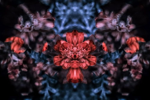 赤い花びらが左右対称に広がる花の合成模様