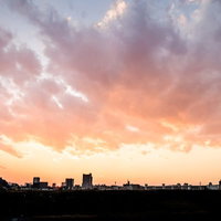 雲が広がる夕方の空と地平線に黒いシルエットで並ぶ都市の建物群の写真