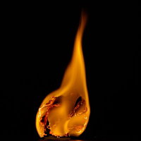 黒背景で炎に包まれた紙くずが激しく燃える炎上シーンの写真