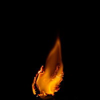 黒い背景に燃え上がるオレンジ色の炎、燃やして証拠隠滅の写真