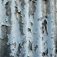 朽ちて剥がれたトタンの外壁の写真