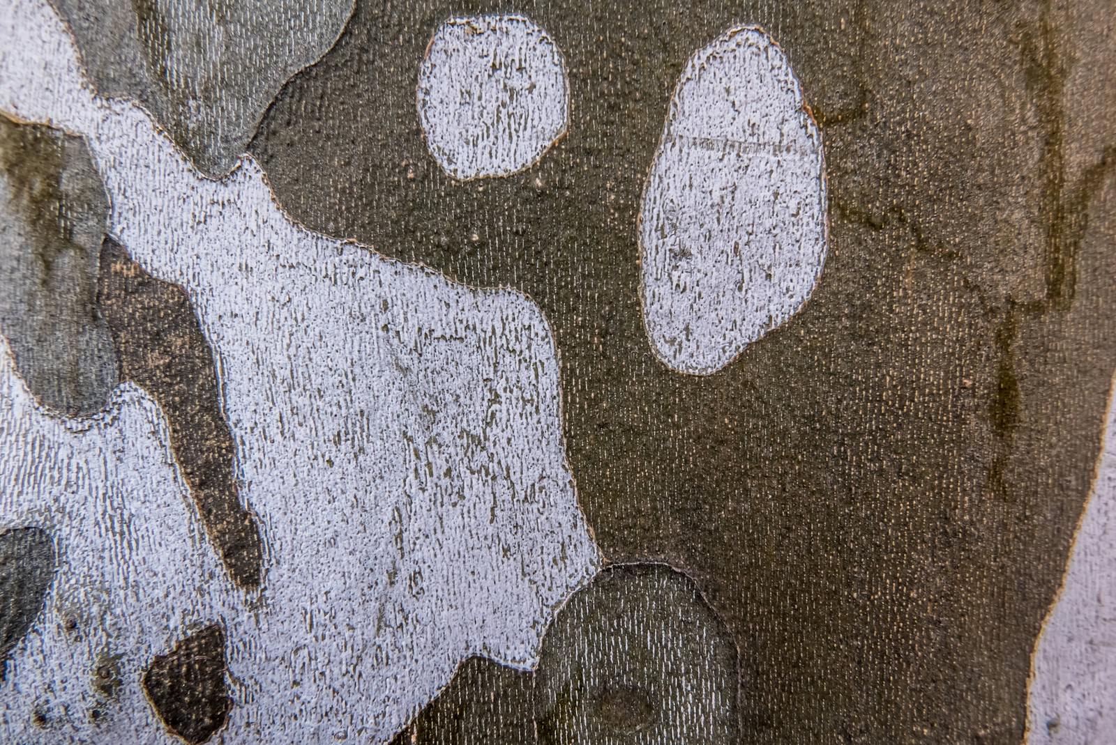 白い塗料が剥がれて茶色い下地が見える古い壁の表面