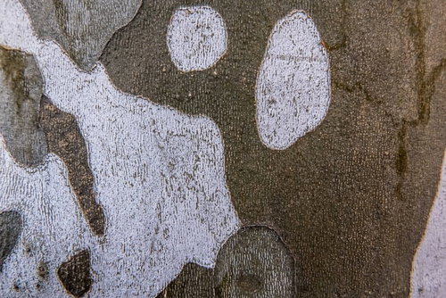 白い塗料が禿げた壁のテクスチャ模様