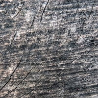 乾燥により木材にヒビが入るテクスチャーの写真