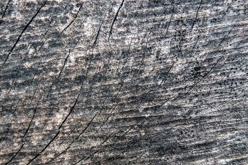 乾燥により木材にヒビが入るテクスチャー