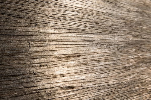 合板のざらつきと木目の表面テクスチャ - 建築