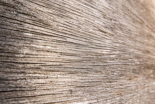 合板（ベニア板）の木目が浮き出た表面の板材テクスチャ