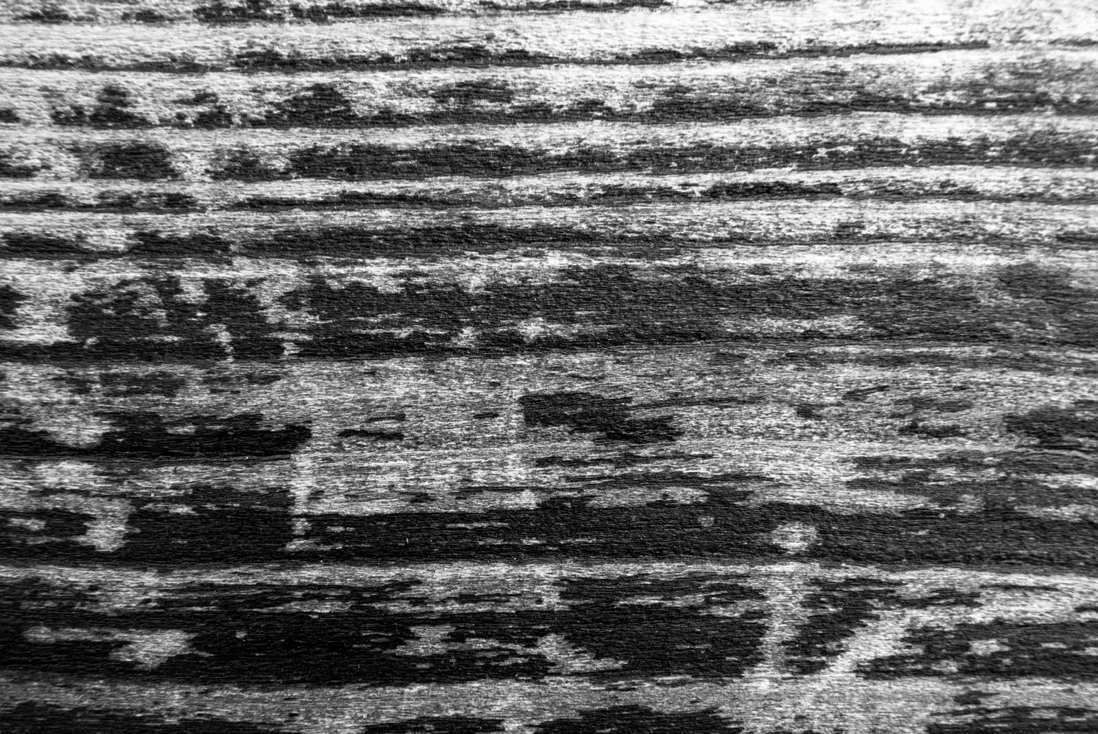 風化して表面が剥がれた古い木の板壁のモノクロ写真
