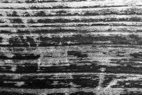 何かが浮き出て来そうな風化した木の壁（モノクロ）