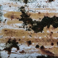 錆びて塗装がハゲて黴る古板の写真