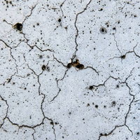 朽ちた白い壁に網目状に広がるヒビ割れと劣化の写真