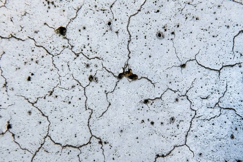 朽ちた白い壁に網目状に広がるヒビ割れと劣化