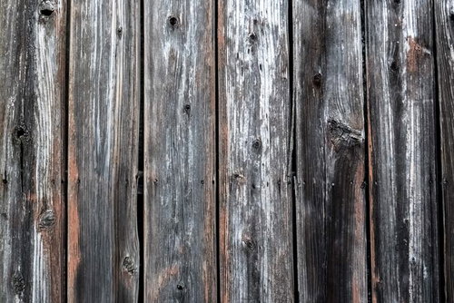 風雨で色あせた古い木の柵
