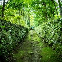 石垣に挟まれた竹藪の古い道、苔むした歴史的な和風の路地の写真