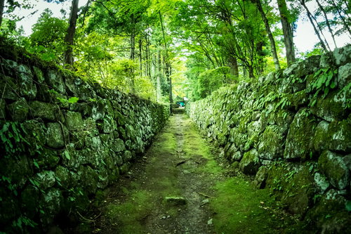 石垣に挟まれた竹藪の古い道、苔むした歴史的な和風の路地