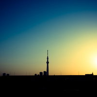 日の出時のスカイツリーのシルエット、東京の早朝都市風景の写真