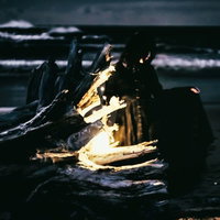 暗闇の海辺で流木に座る女性のシルエット 夜間の写真