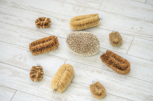 節子、それタワシやない。ハリネズミや〜白い床に並ぶタワシとハリネズミ