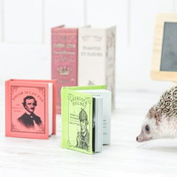 新刊に興味津々のハリネズミと積み重ねた本の写真