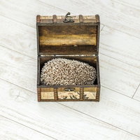 宝箱パカッ！ はりねずみによって3のダメージの写真