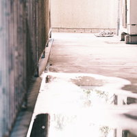 雨上がりの廊下に放置されたスニーカーと水溜りの写真