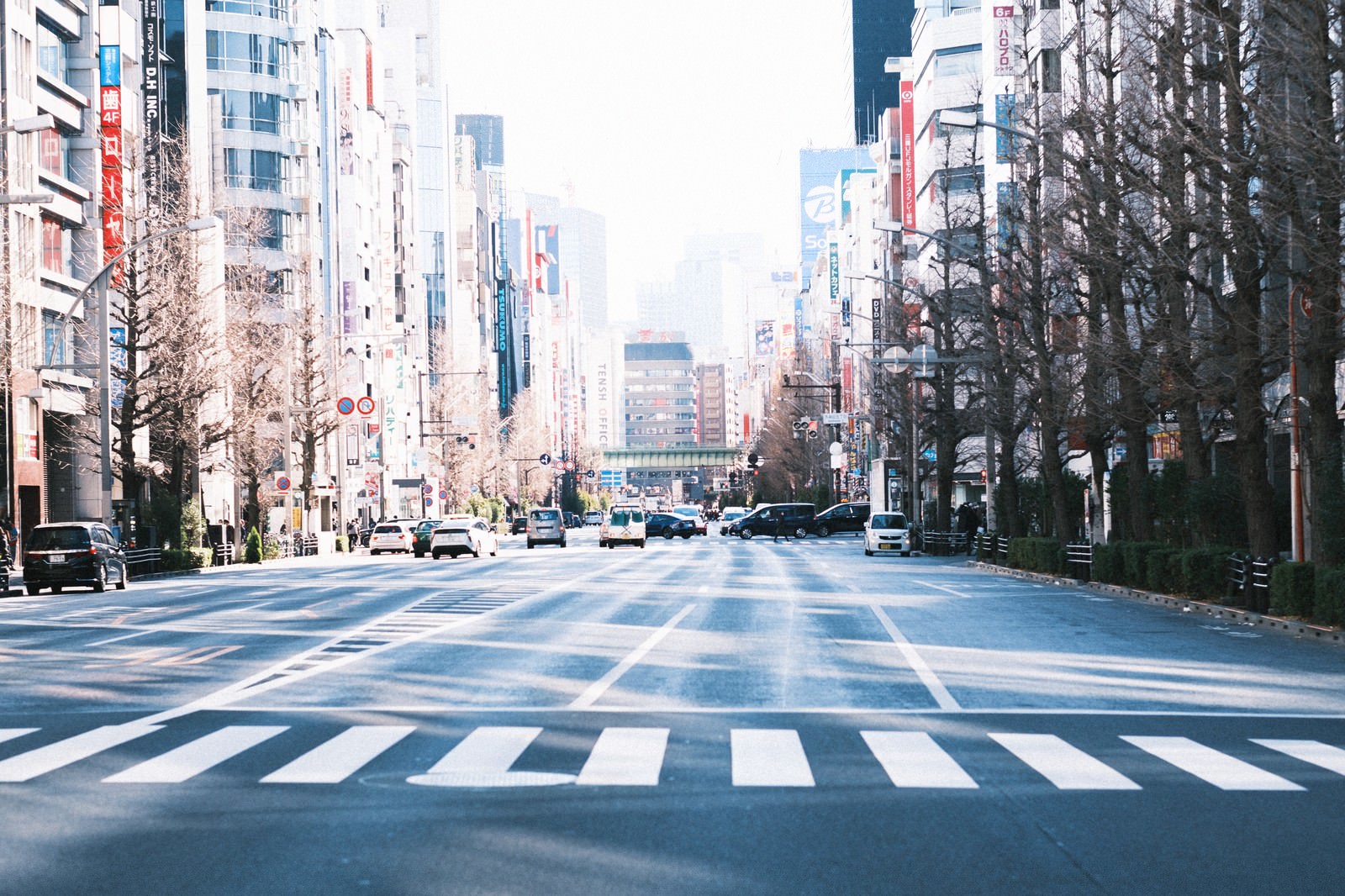 A city street with long shadows of roadside trees across the road and a crosswalk