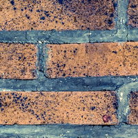 黒い汚れとひび割れが入った汚れた外壁タイルの写真