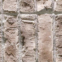 粗い塗りの外壁タイルの凹凸質感とセメント目地の苔付着の写真