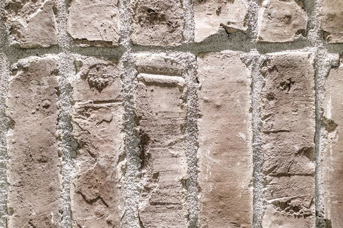 粗い塗りの外壁タイルの凹凸質感とセメント目地の苔付着