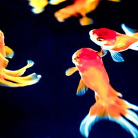 雪原を歩く2羽のペンギンの写真