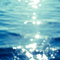 水面に日光が反射して多数の白い光点が散らばる海辺の写真