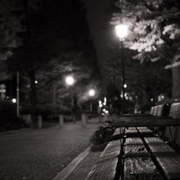 夜間の無人公園に立つベンチと街灯の風景の写真