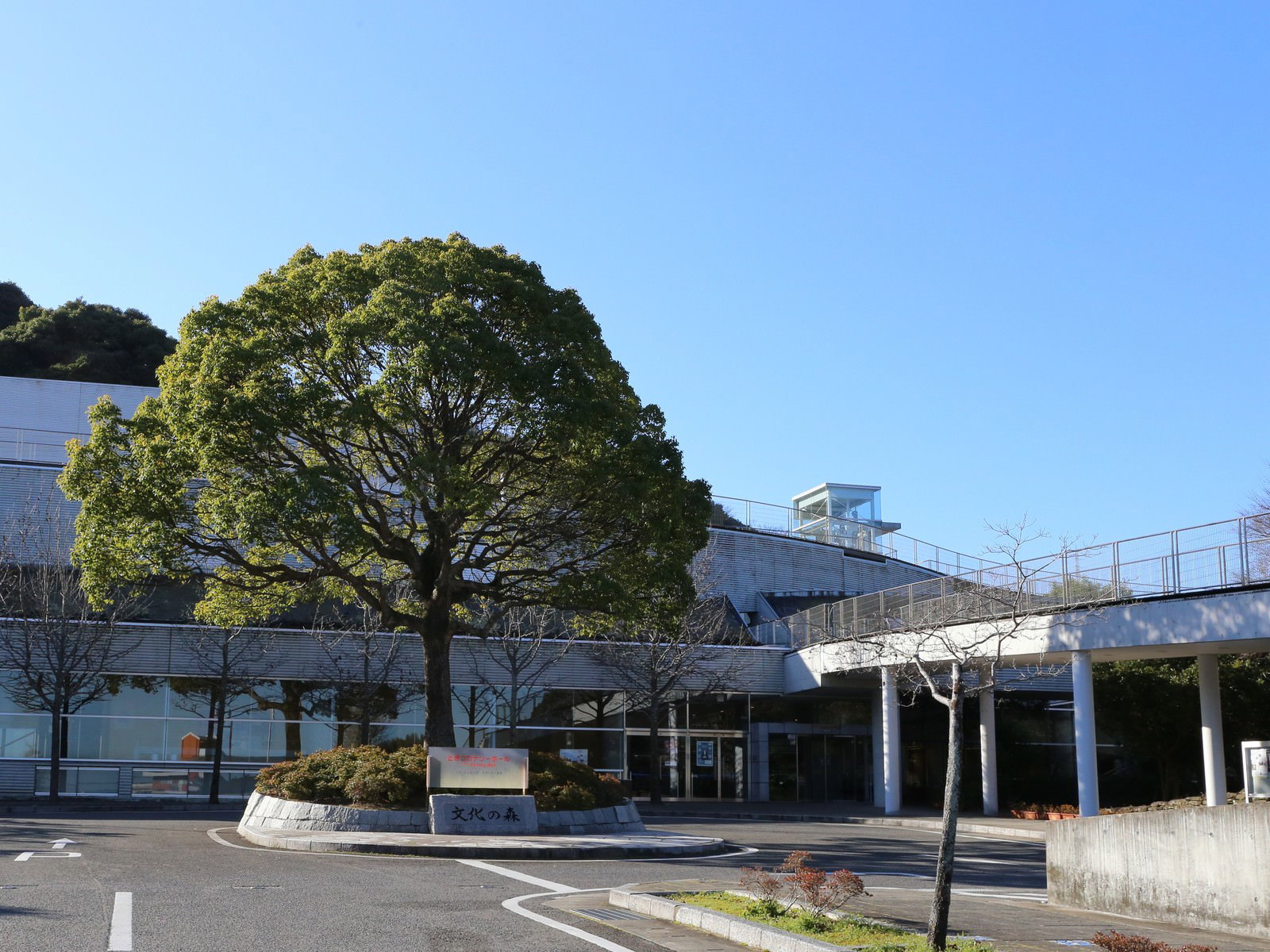 青空の下に建つとぎつカナリーホールの外観と緑の大木