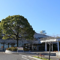時津町のとぎつカナリーホール外観と大木、青空の下のモダン建築の写真