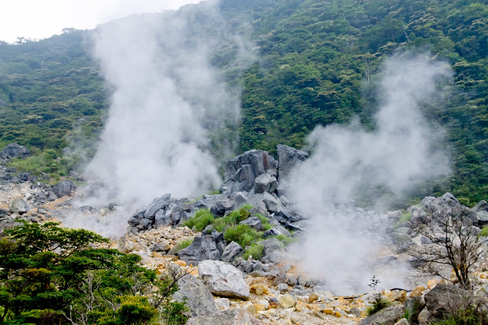 蒸気が噴き出す大涌谷の噴気孔