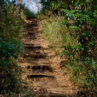 日差しが差し込む森の中を上る土と石の不気味な山道の階段の写真