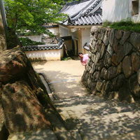 石段からひょっこり(^∀^)岡山城の観光客の写真