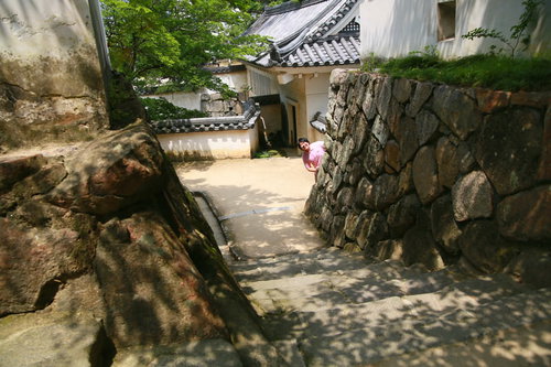 石段からひょっこり(^∀^)岡山城の観光客