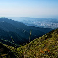 丹沢の山並みと眼下に広がる秦野市の風景と森林風景の写真