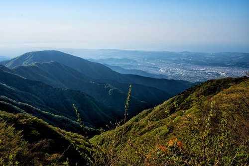 丹沢の山並みと眼下に広がる秦野市の風景と森林風景