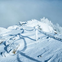 付着した氷や雪がエビの尻尾状になった霧氷ロープと伸びる影の写真
