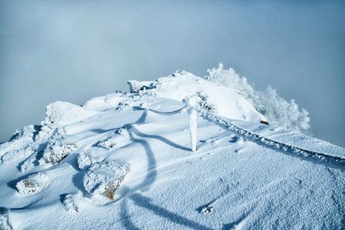 付着した氷や雪がエビの尻尾状になった霧氷ロープと伸びる影