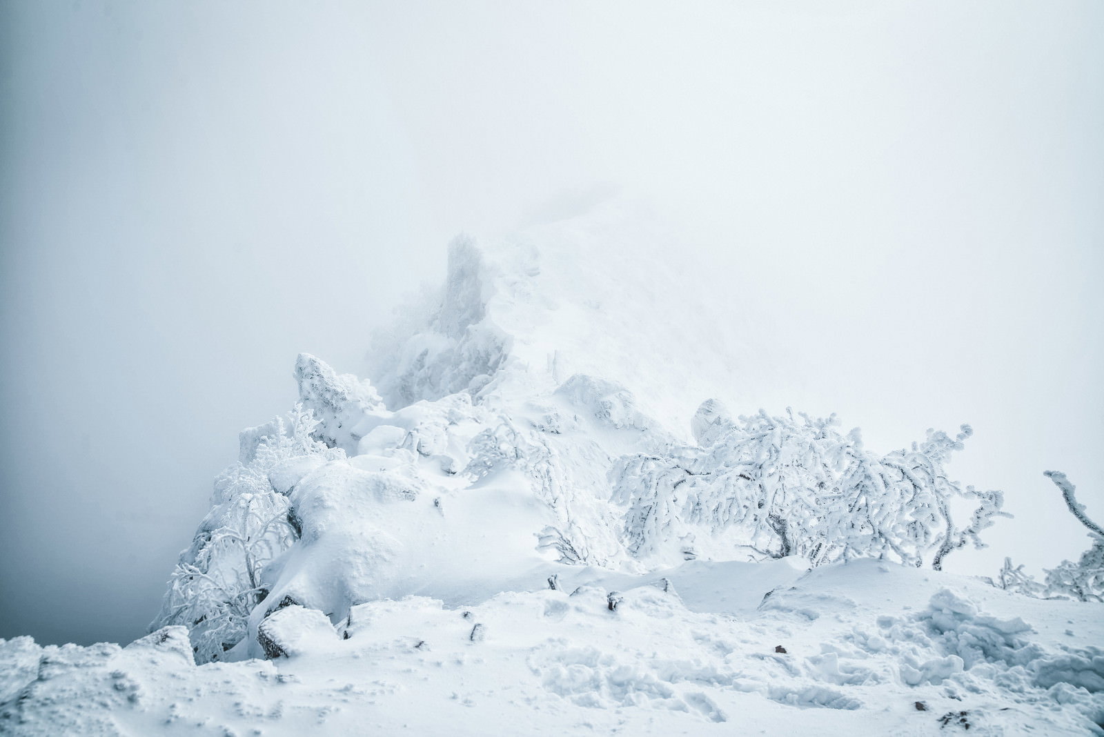 厚いガスに包まれた雪山の稜線部分、白い積雪と灰色の雲が織りなす冬の山岳風景
