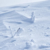 厳冬に現れるリトルモンスター、雪山の樹氷の写真